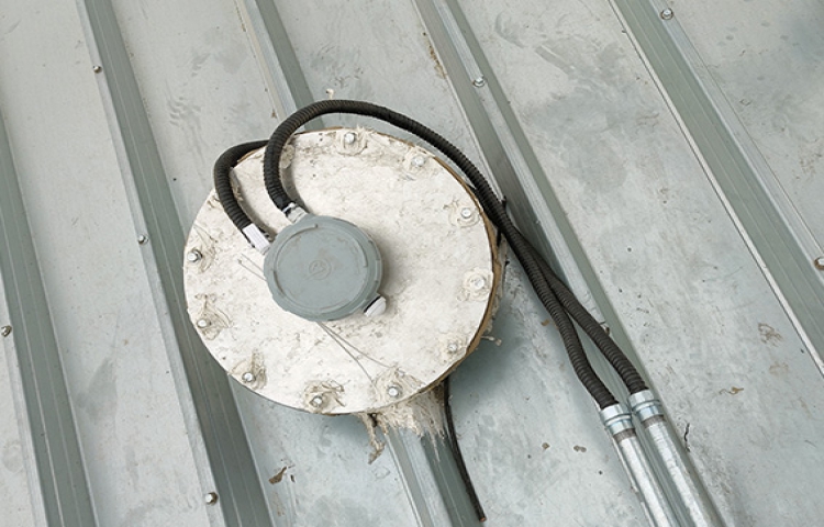 利馬克雷達物位掃描儀在乳酸菌倉應用案例